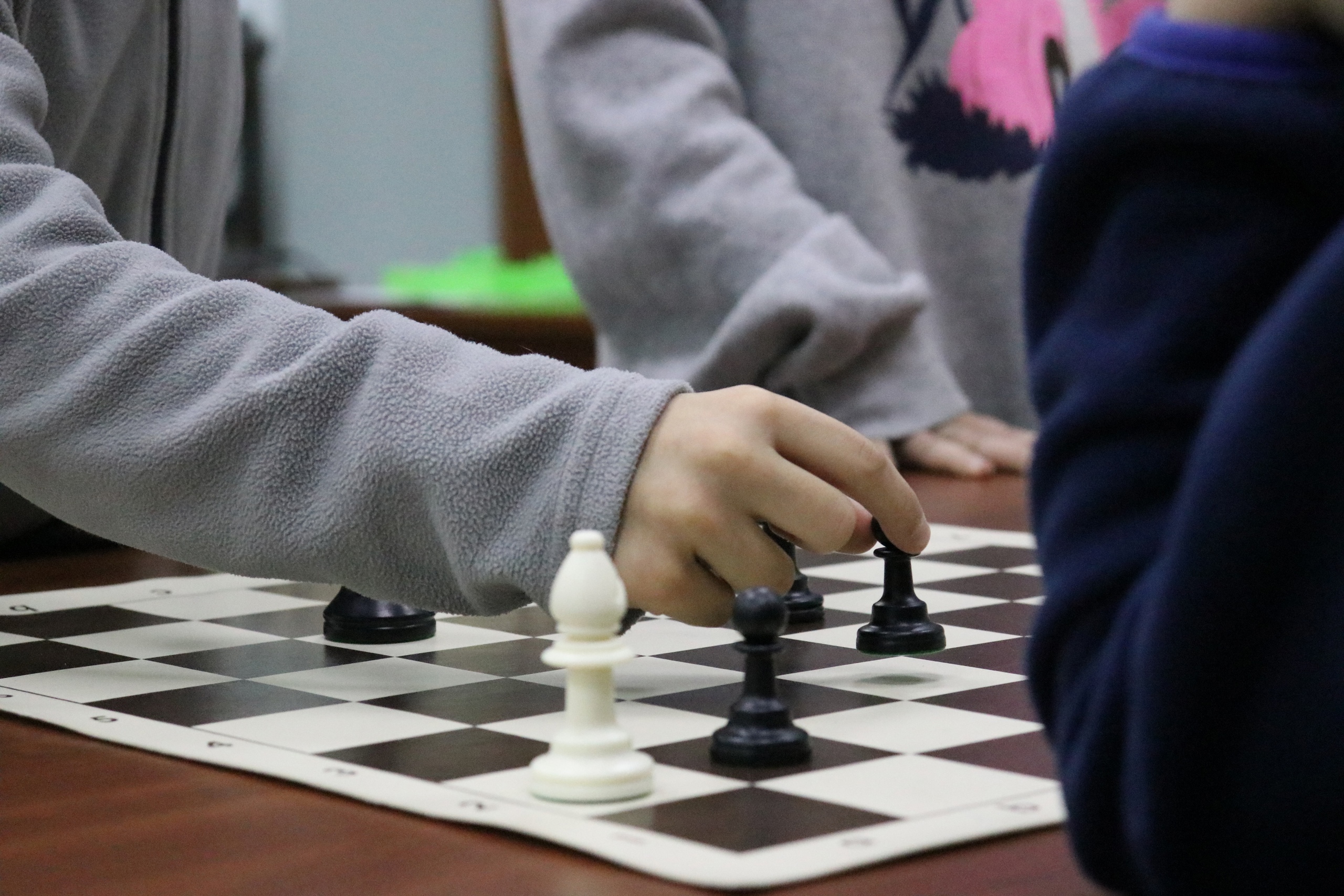 Новости - 17 февраля в парк-отеле Звенигород состоится шахматный турнир